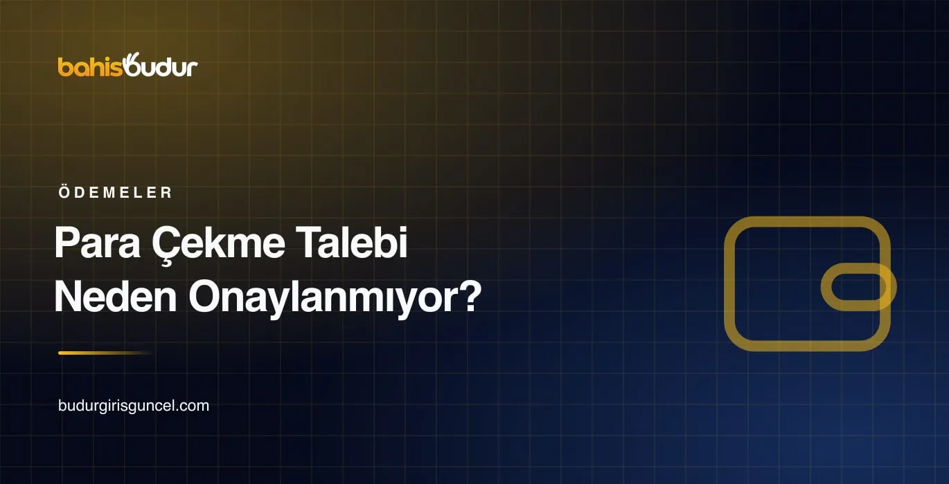 Para çekme talebi neden onaylanmıyor rehberi kapak görseli